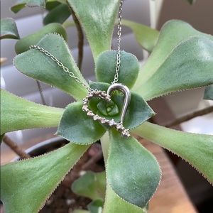 10K White Gold & Diamond Pendant w/chain